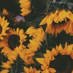 Meet your Posher, Jada